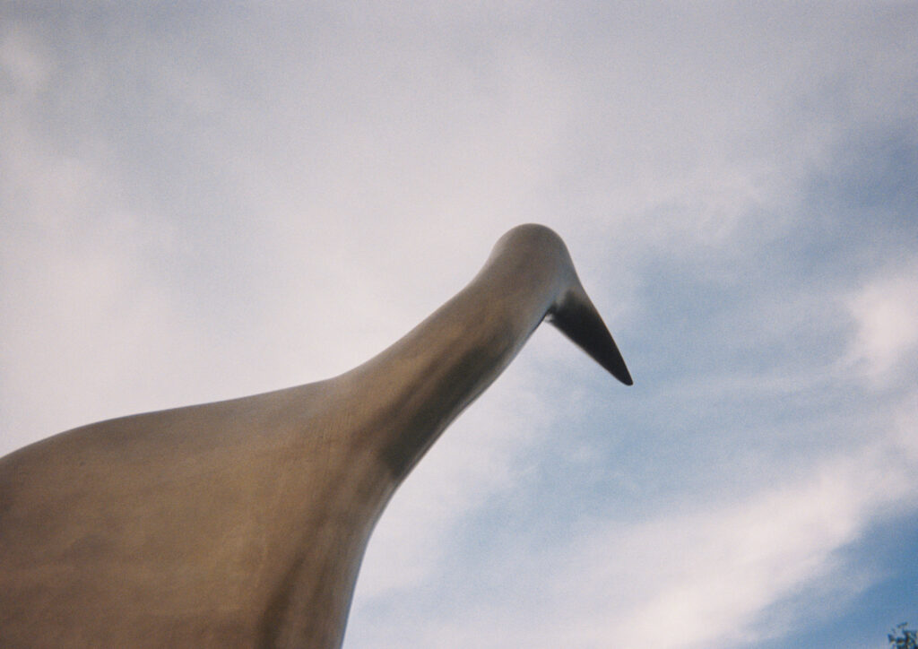 Metal egret’s beak and torso against the sky.