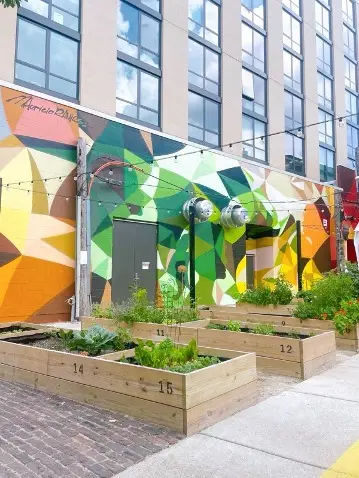 A mural in shades of red, orange, yellow, green and blue. Directly in front of the mural are community garden boxes filled with plants